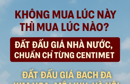 CƠ HỘI VÀNG ĐẦU TƯ ĐẤT VÀNH ĐAI 4 tại đấu giá BẠCH ĐA KIM HOA MÊ LINH HÀ NỘI